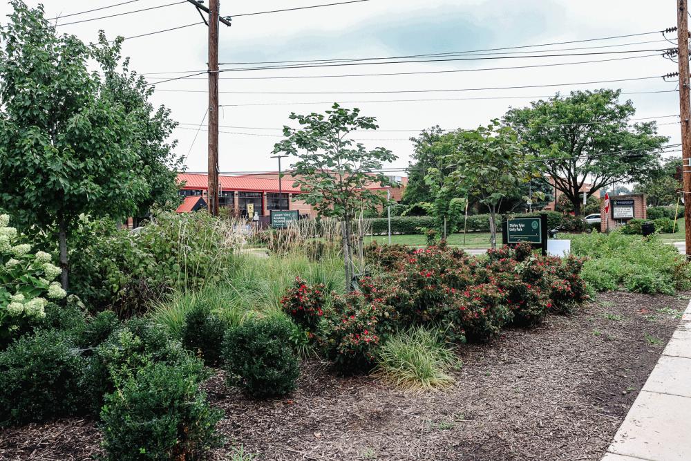 RPCA Shirley Tyler Unity Park Image 4