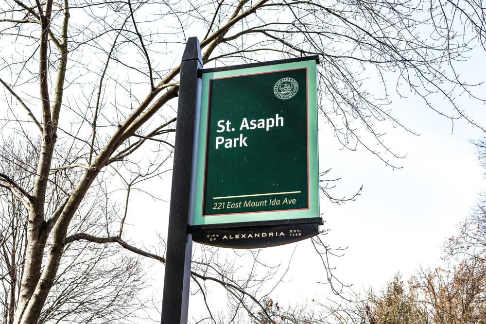 St Asaph Park Image 4