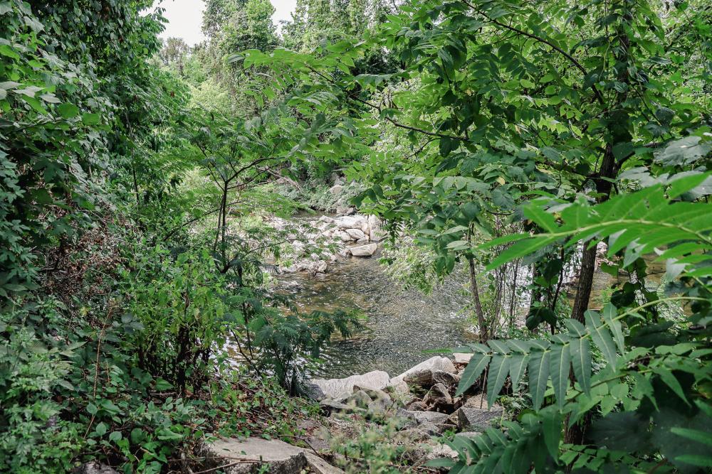 Tarleton Park Image 6