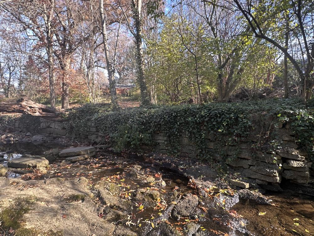 Photo of the Oakland Terrance-Timber Branch Project location existing conditions