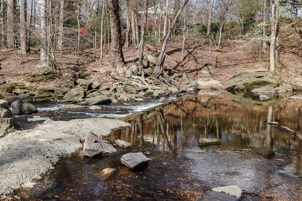 RPCA RO Dora Kelley Nature Park 5