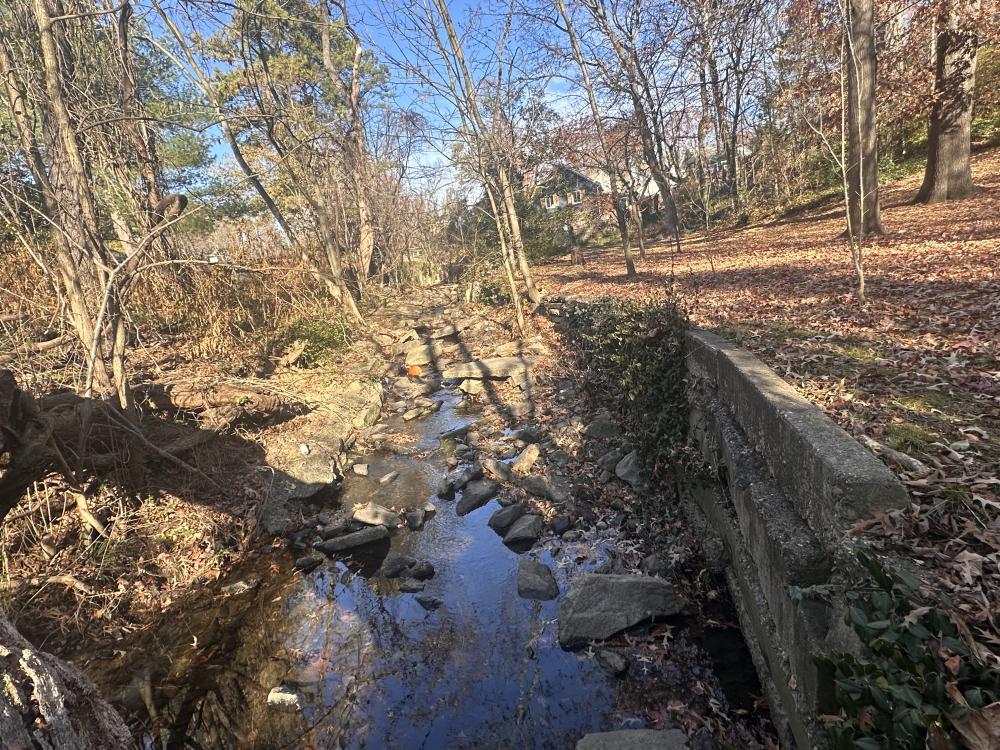  Image of existing stream and retaining wall conditions at the Oakland Terrance-Timber Branch Project site.