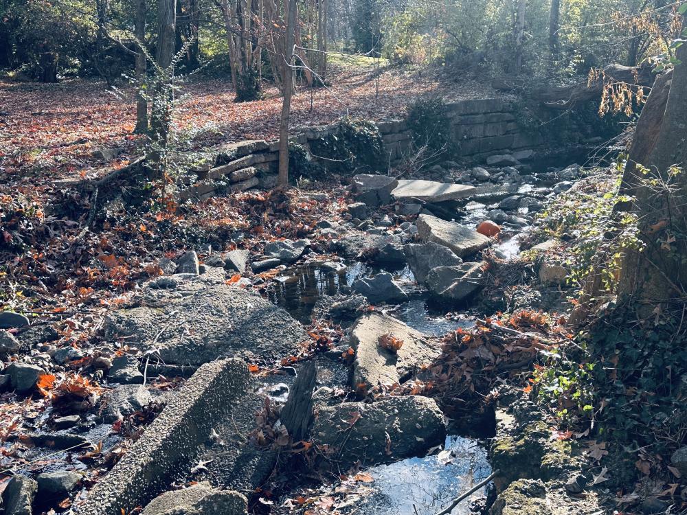  Image of existing stream and retaining wall conditions at the Oakland Terrance-Timber Branch Project site.