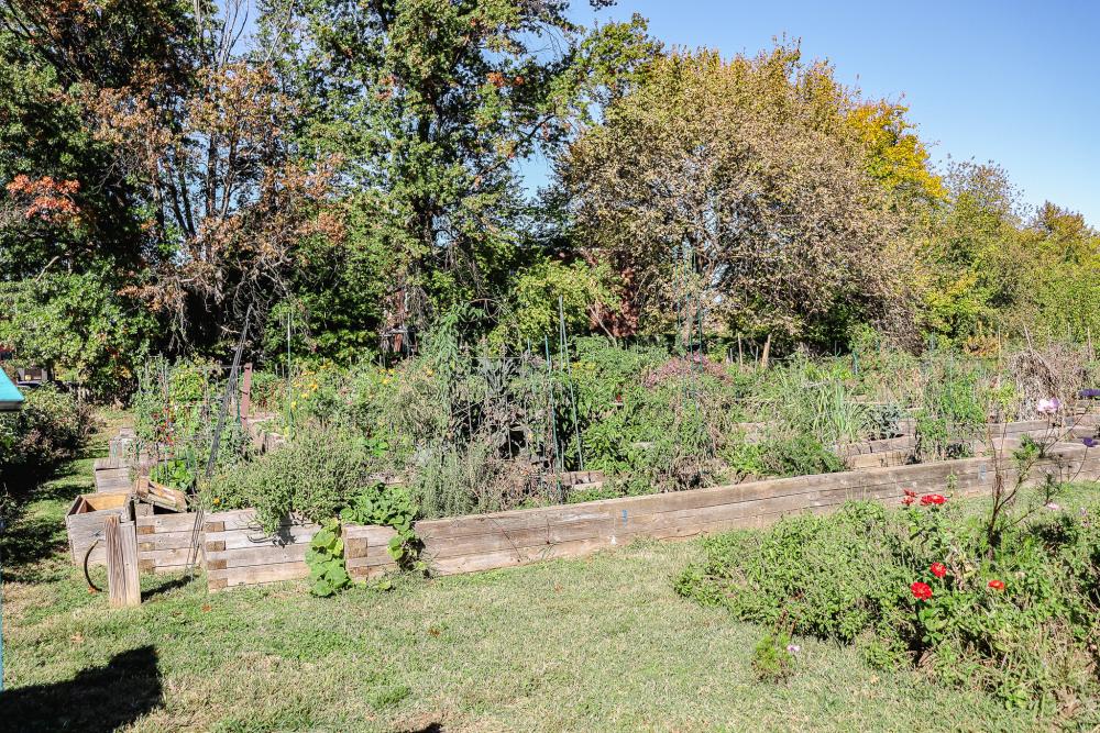 RPCA RO Dale Street Community Gardens 2