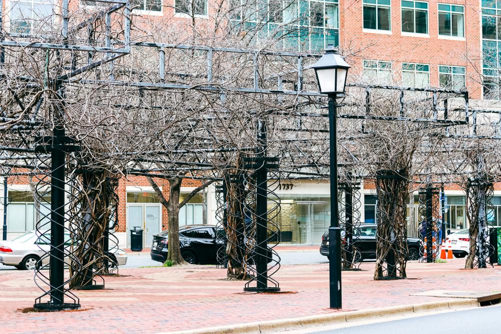 King Street Gardens Park City of Alexandria, VA