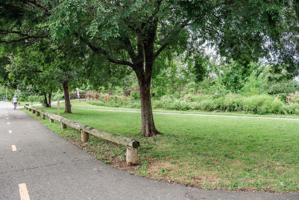 RPCA RO S Jordan St Holmes Run 5