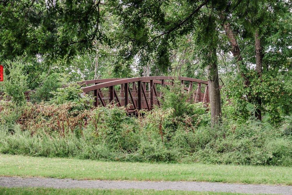 RPCA RO S Jordan St Holmes Run 6