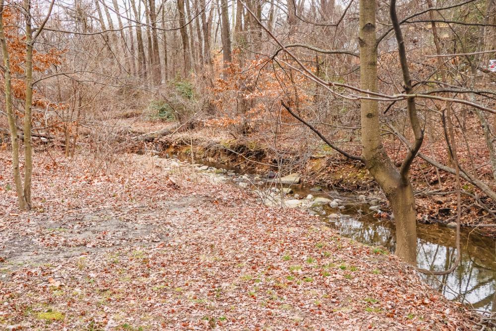 RPCA RO Timberbranch Parkway 6