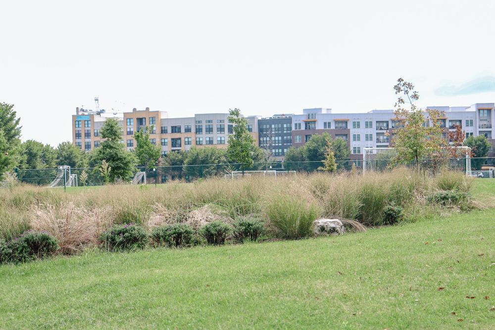 RPCA RO Kettle Park 2