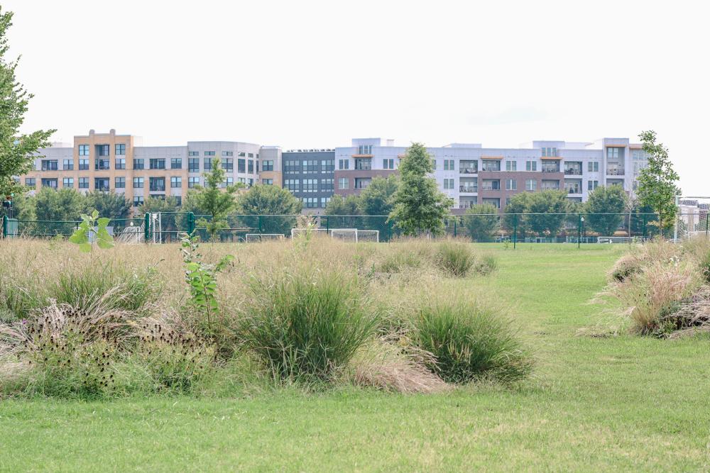 RPCA RO Kettle Park 3