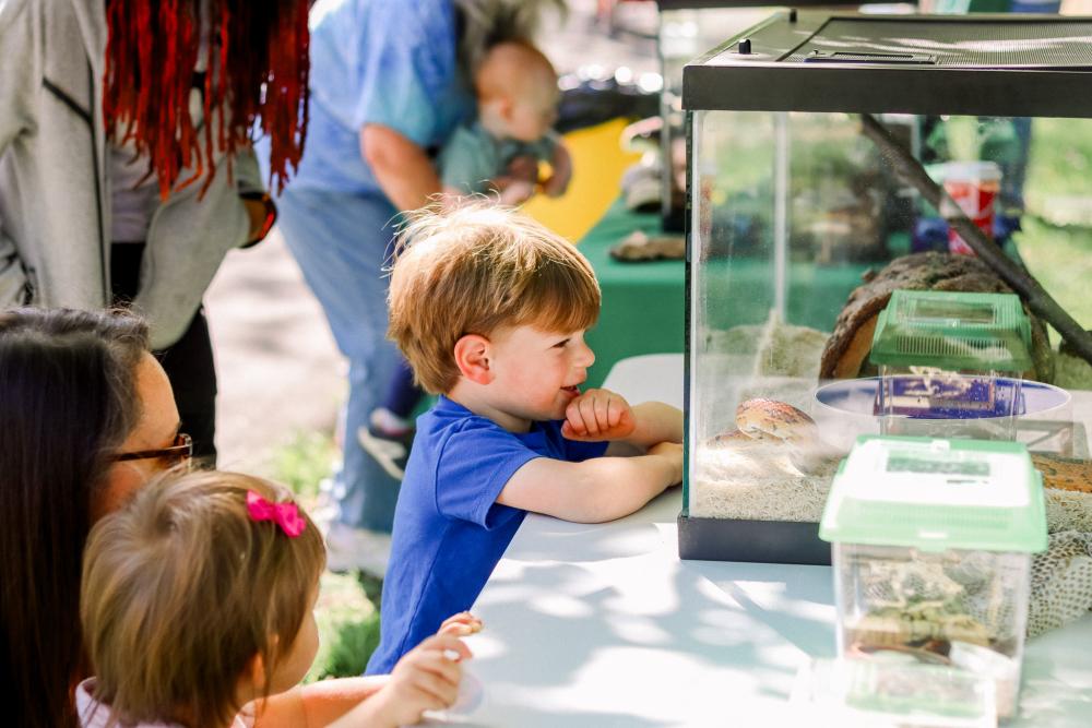 RPCA RO Animals in the Park 6