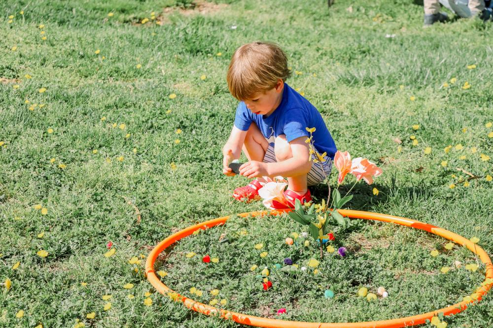 RPCA RO Animals in the Park 7