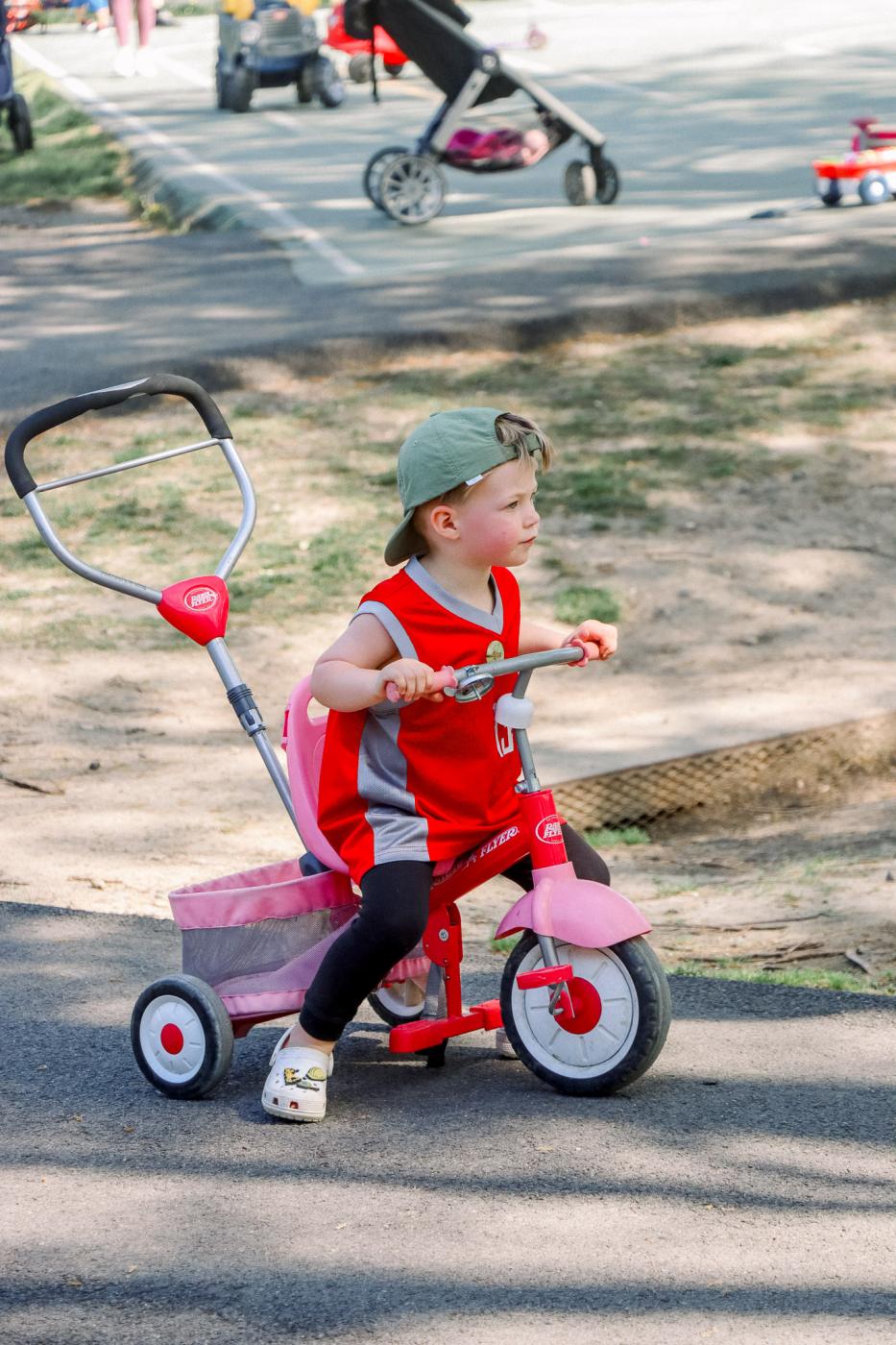 RPCA RO Animals in the Park 16