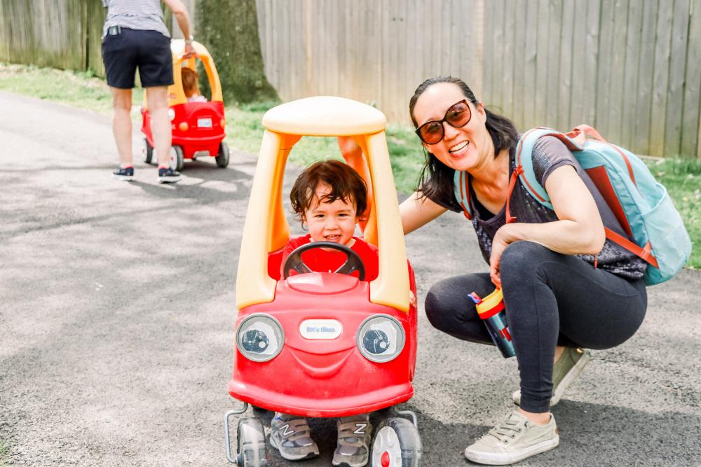 RPCA RO Animals in the Park 25