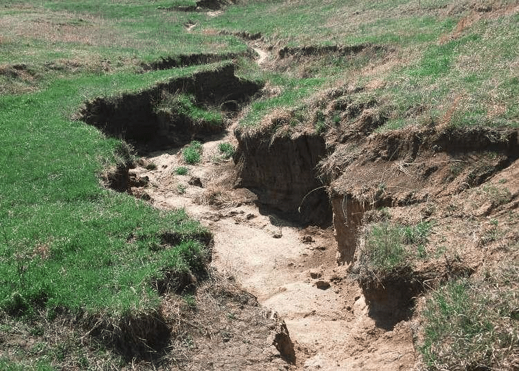 Photo of an eroding channel with nearly vertical banks of exposed soil and no vegetation. The channel banks are undercut and unstable.