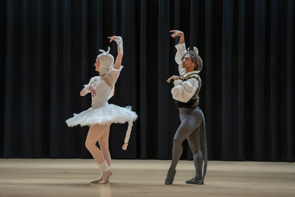 Ballet photo