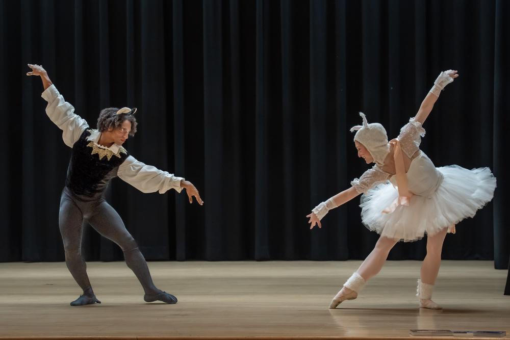Ballet photo