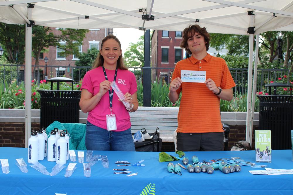 Alexandria Stormwater Table