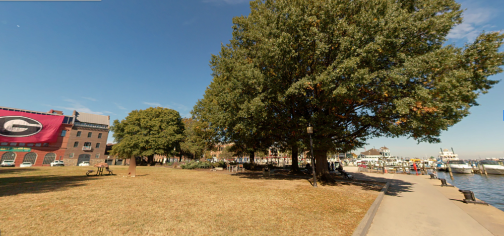 Street-level view of Waterfront Park and the northern shoreline from the Tallship.