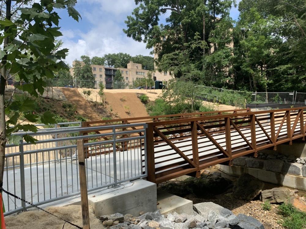 Holmes Run Site 2