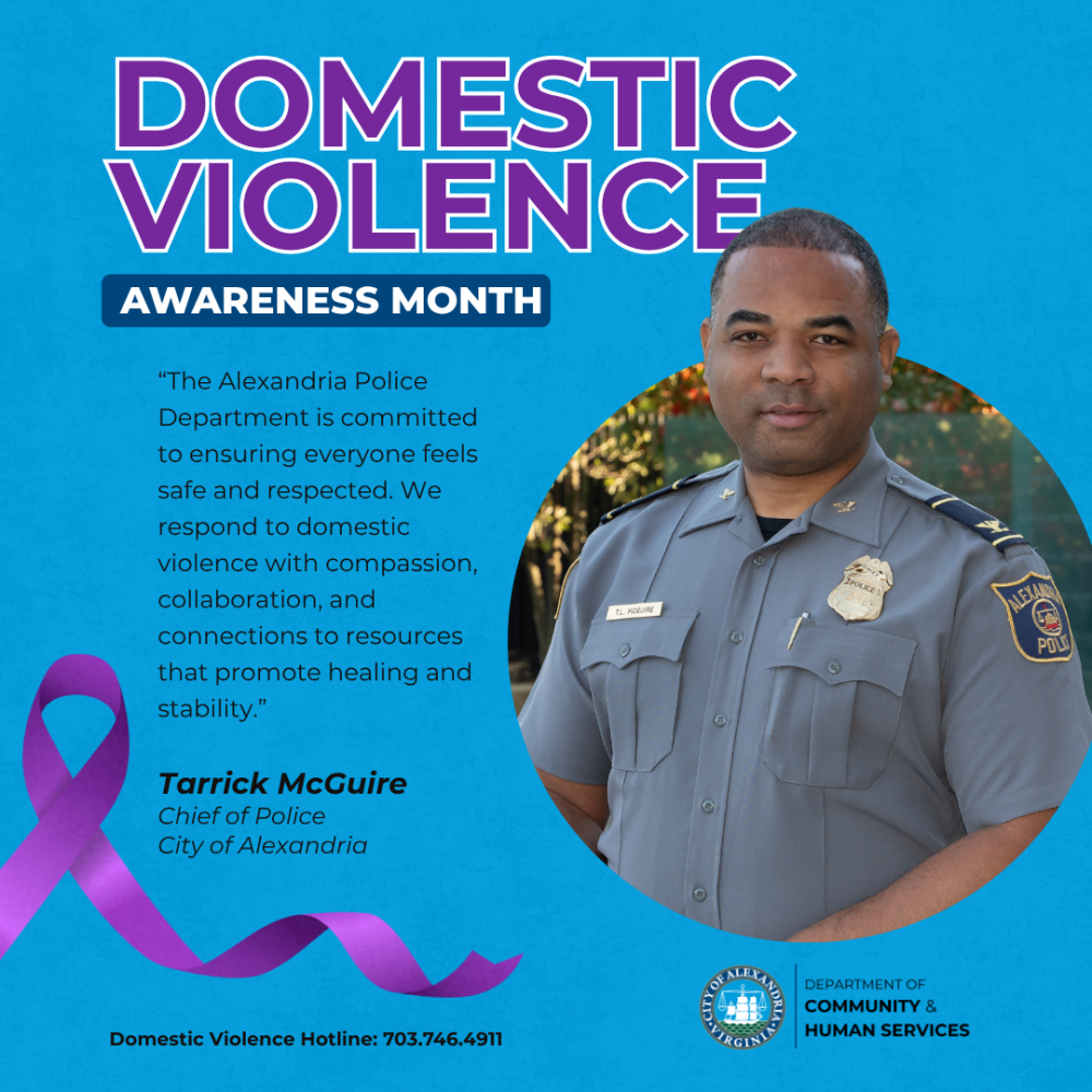 A purple ribbon (symbol of Domestic Violence Awareness).  The logo for the Department of Community & Human Services.  A Hotline Number at the bottom: Domestic Violence Hotline: 703.746.4911
