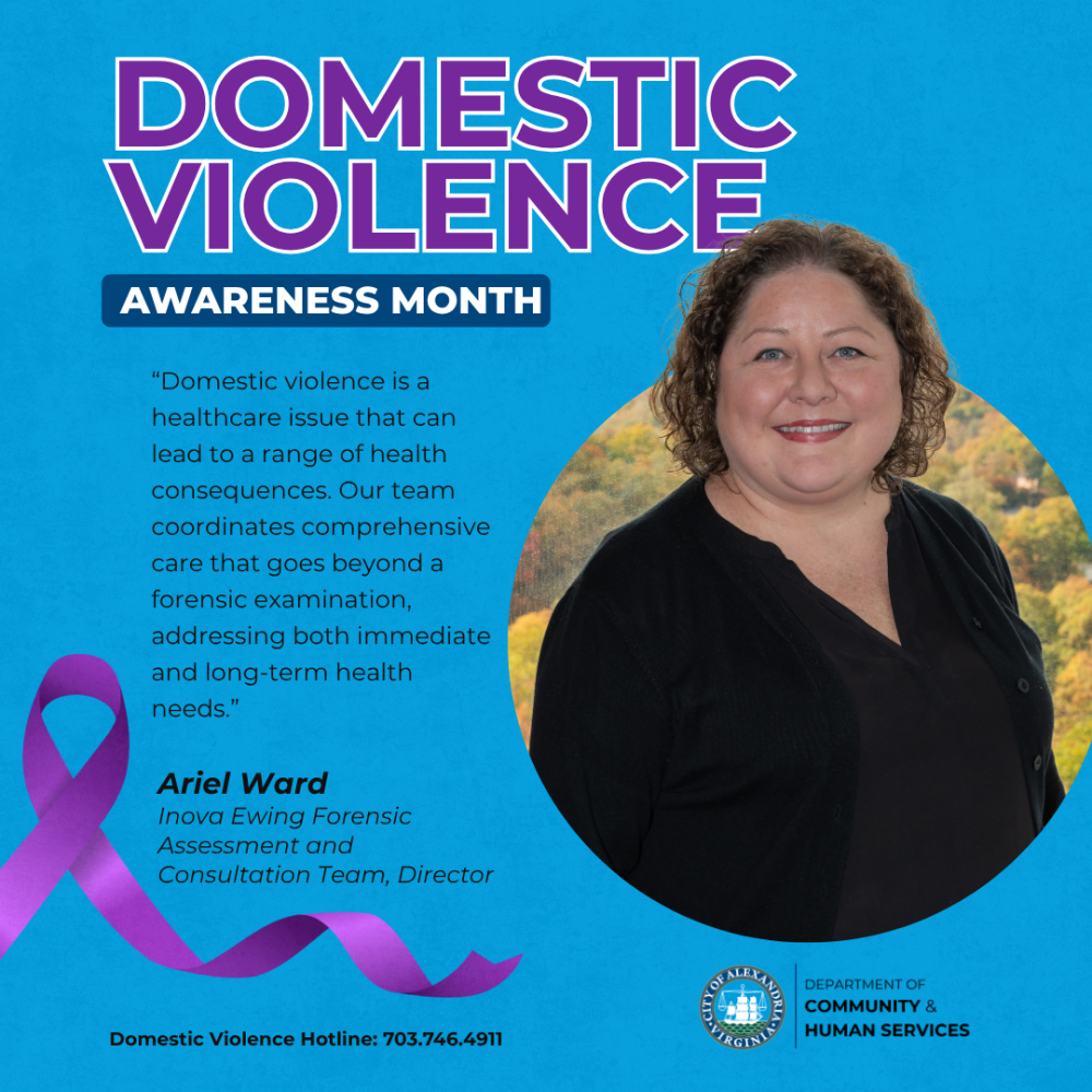 A purple ribbon (symbol of Domestic Violence Awareness).  The logo for the Department of Community & Human Services.  A Hotline Number at the bottom: Domestic Violence Hotline: 703.746.4911