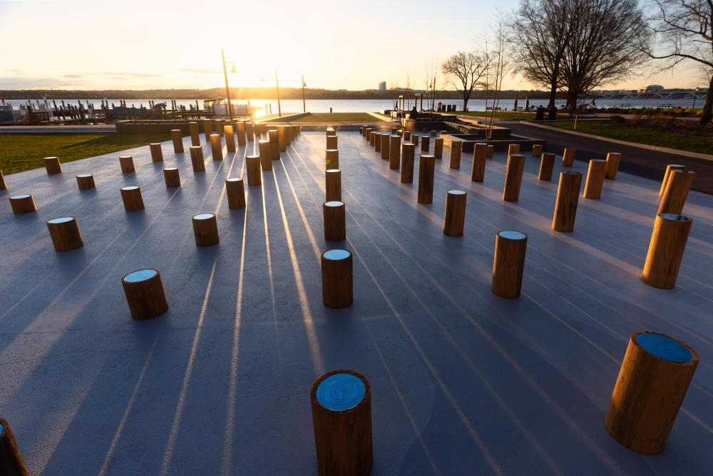Site See Installation at the Waterfront park