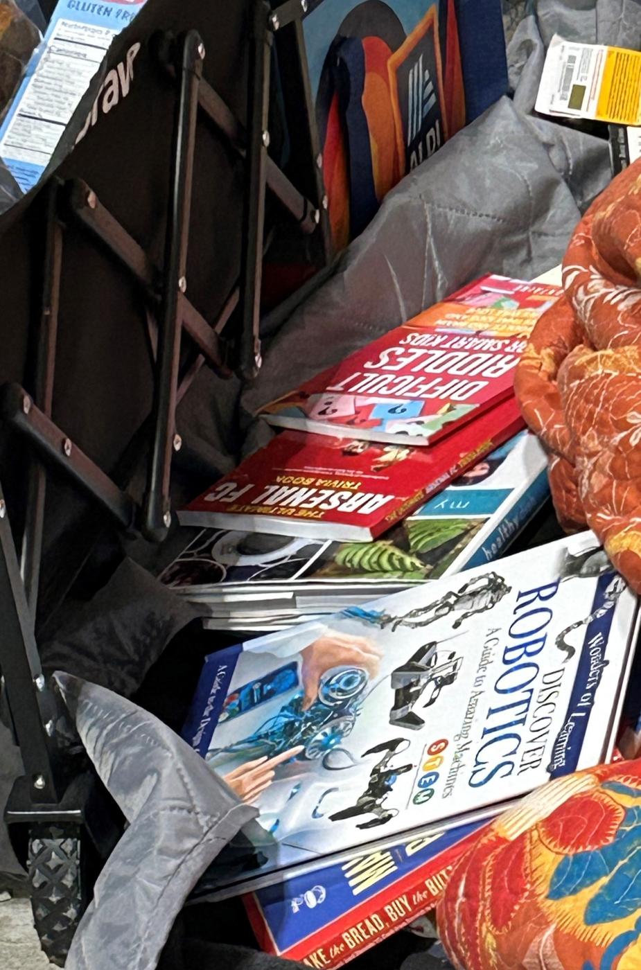 assortment of books on ground alongside a person who is homeless