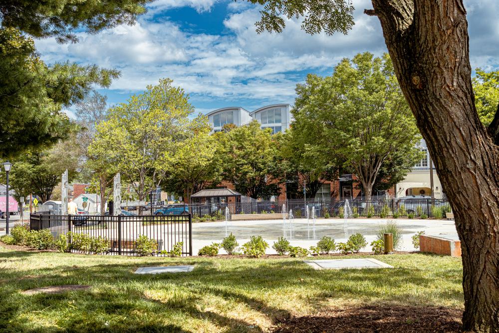 Another wide angle of the Colasanto park in the shade