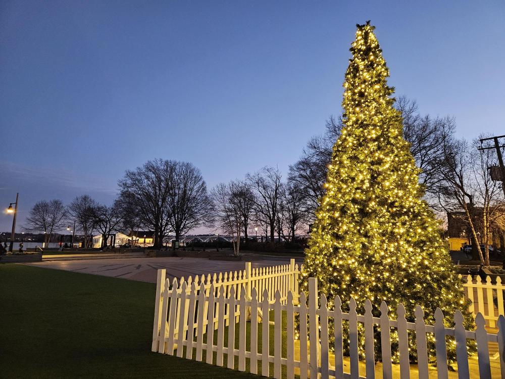 holiday tree on waterfront with sunset and trees in background