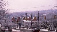 Snow at Beatley Library