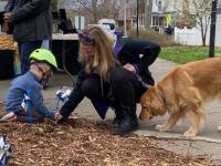 Pinwheel Garden Photo
