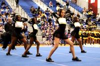 RPCA Cheer Image 10