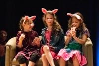 RPCA Night Of Stars Image 17