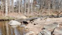 RPCA RO Dora Kelley Nature Park 14