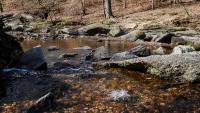 RPCA RO Dora Kelley Nature Park 6