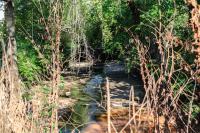 RPCA RO Causeway Park 2