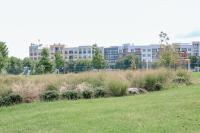 RPCA RO Kettle Park 2