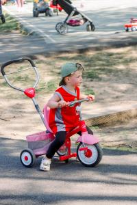 RPCA RO Animals in the Park 16