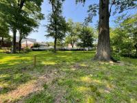 Tarleton Dog Park