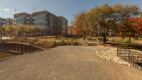 Photo of the street level view of the Waterfront from the Point Lumley wharf towards Robinson Landing.