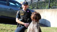 Deputy in a blue uniform wearing a pink badge and his K9 partner, a German wiredhaired pointer wearing a black collar with pink letters reading K9 Aida 