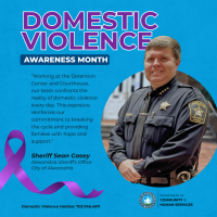 A purple ribbon (symbol of Domestic Violence Awareness).  The logo for the Department of Community & Human Services.  A Hotline Number at the bottom: Domestic Violence Hotline: 703.746.4911