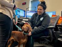 Therapy dog visit 911 floor with call taker