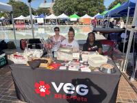 Community partner table at Alexandria Pride 2025