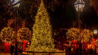 RPCA 2022 Holiday Tree Lighting Promo Webbox