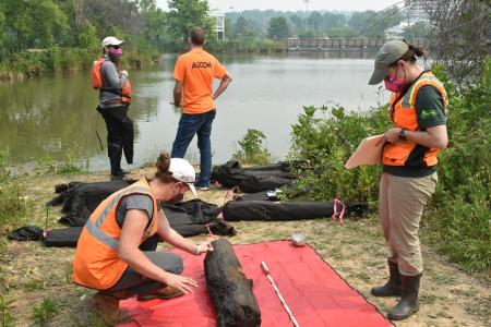 Ship timber inspection, 2023 AX235