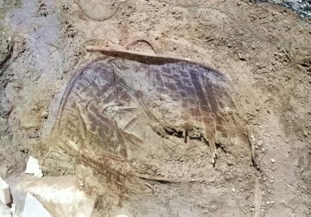 A smashed woven wooden basket is exposed during an excavation at the Lee Street Site.