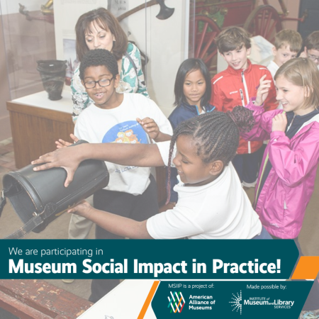 Social Impact in Practice Study