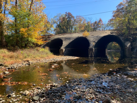 Photo of the current state of the culvert.